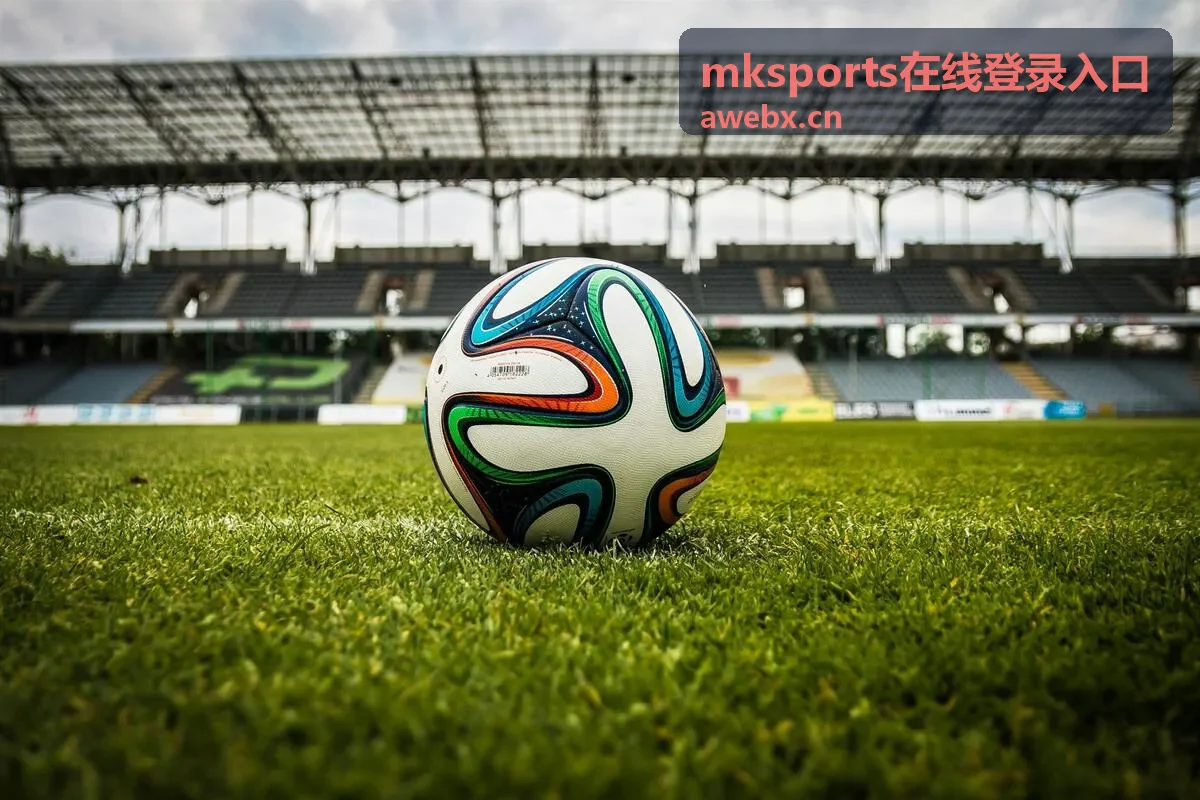 mksports在线登录入口账号信息填写界面示意