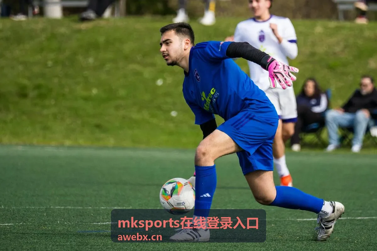 mksports在线登录入口在手机端的登录操作画面