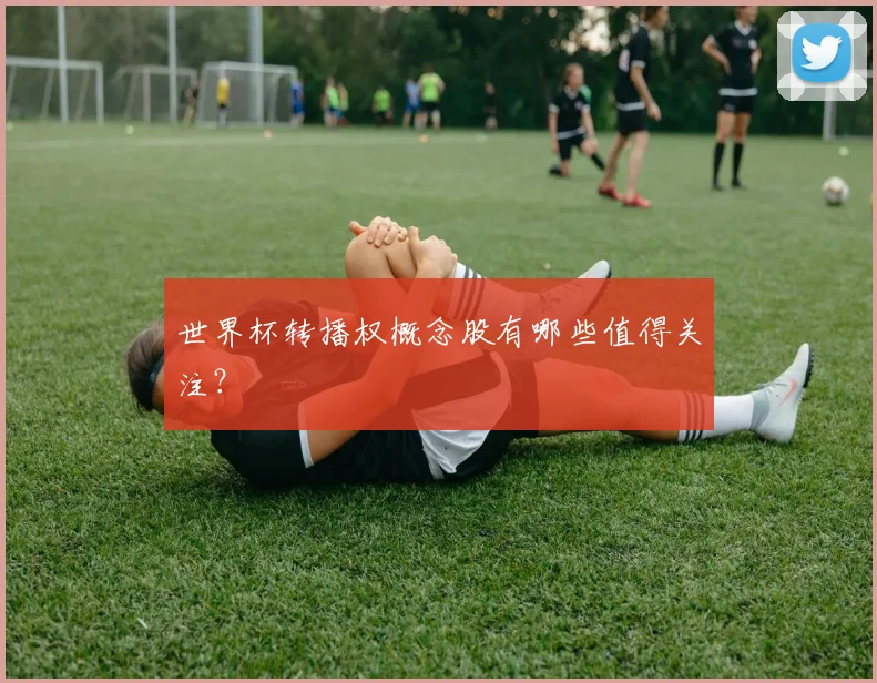 世界杯转播权概念股有哪些值得关注?