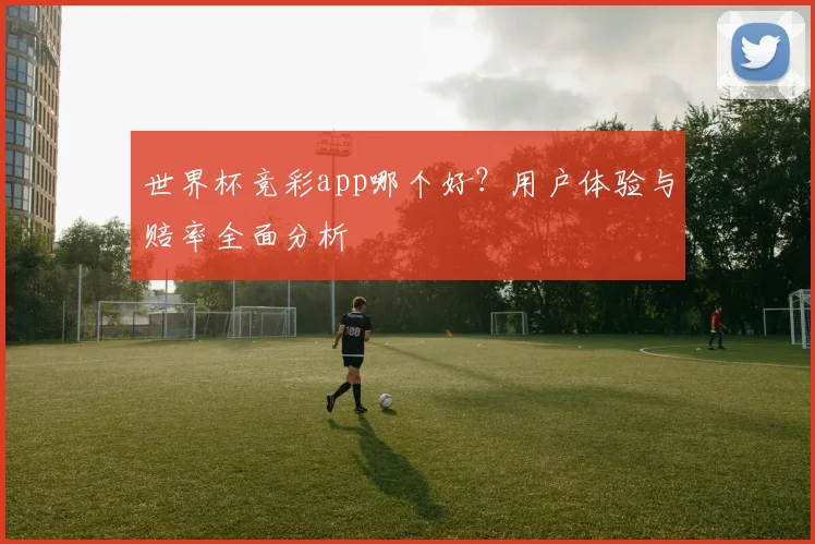 世界杯竞彩app哪个好?用户体验与赔率全面分析