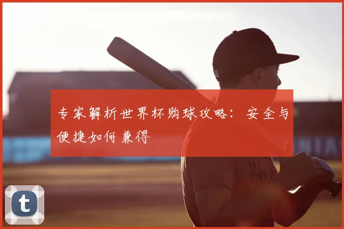 专家解析世界杯购球攻略:安全与便捷如何兼得