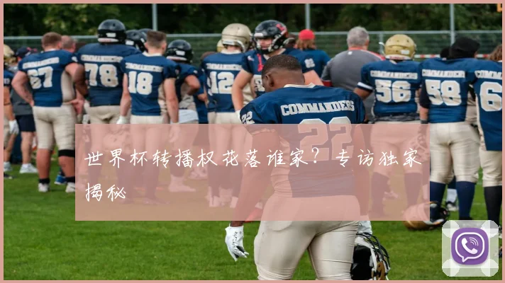 世界杯转播权花落谁家？专访独家揭秘