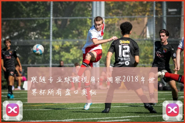 跟随专业球探视角：洞察2018年世界杯所有盘口奥秘