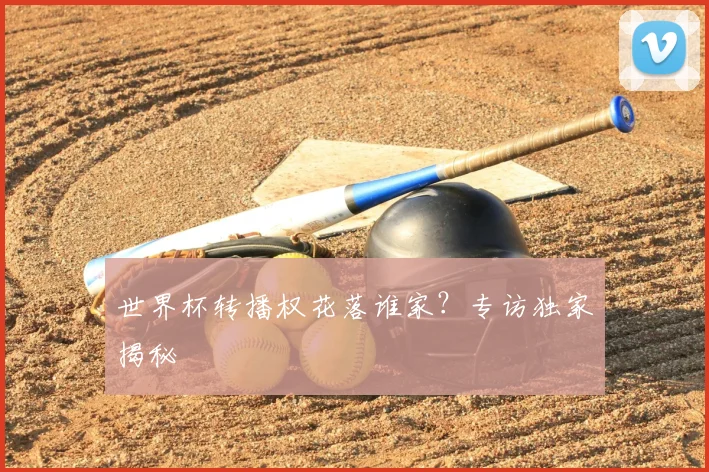 世界杯转播权花落谁家?专访独家揭秘