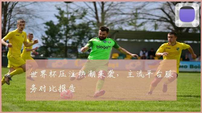 世界杯压注热潮来袭,主流平台服务对比报告
