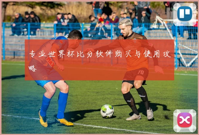 专业世界杯比分软件购买与使用攻略