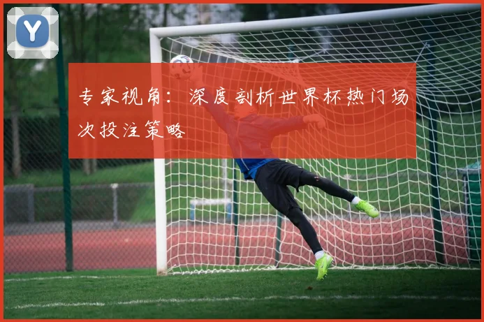 专家视角:深度剖析世界杯热门场次投注策略