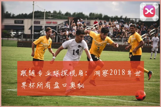 跟随专业球探视角：洞察2018年世界杯所有盘口奥秘