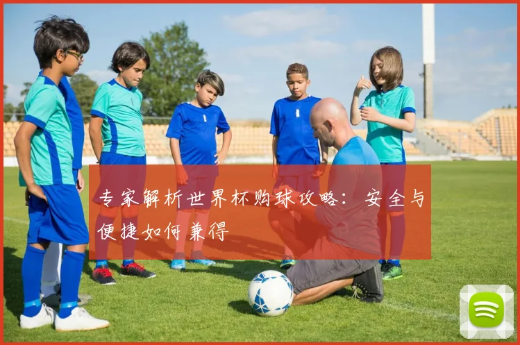 专家解析世界杯购球攻略:安全与便捷如何兼得